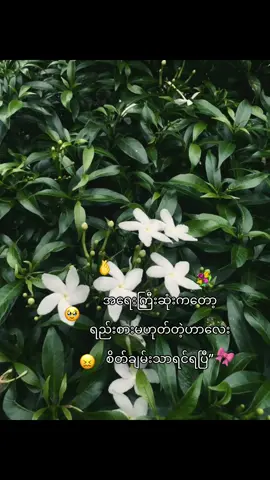 အရေးကြီးဆုံကတာပါပဲ😖🫰#fy #fyp #livephoto #foryoupage #tiktok 