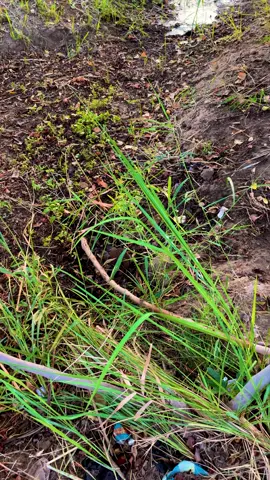 #رعد_الناصري #ياخوي #ديالى_بعقوبة #ديالى_بعقوبة_الجديدة  #يسعدلي__اوقاتڪۘم_حبايبي♥️🕊 