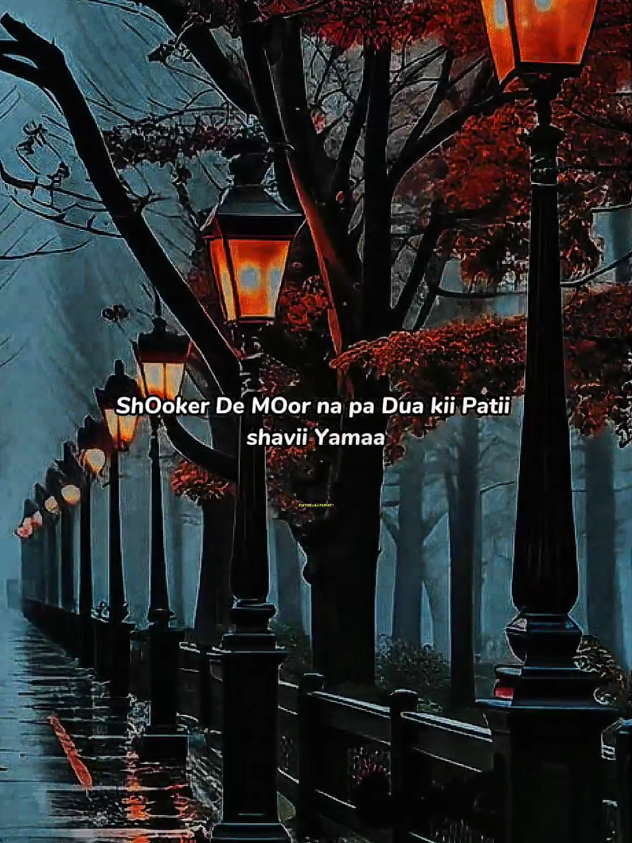 Daasi KhOo monG la Hum Da Spakoo sporOo... 🔥🎧🌹 