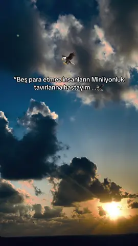 #🦅