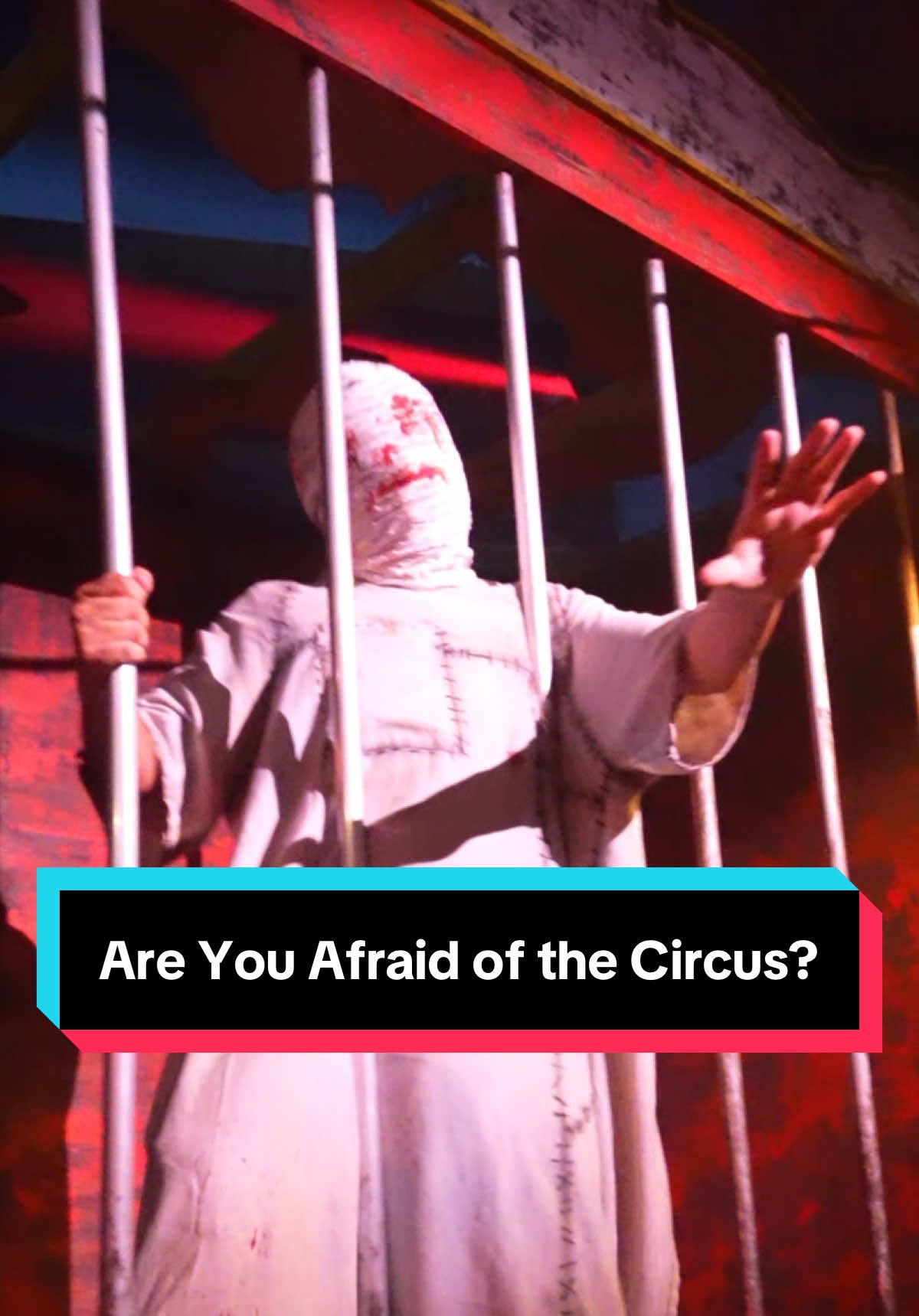 Are You AFRAID of the Circus? Well let’s step inside DH Baggums Circus of Fear at Busch Gardens Tampa Howl O Scream. #howloscream #buschgardens #buschgardenstampabay #buschgardenstampa #buschgardensflorida 