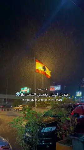 #بيروتية🐰🇱🇧 #الشتاء #winter #lebanon #🇱🇧 