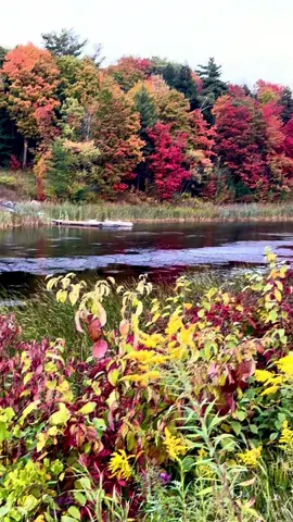 #canada_life🇨🇦 #rain #autumn #travel #masterpiece 