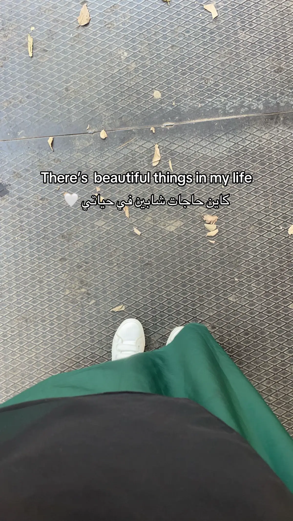 #hana_goldenbites #explore #gateauxalgeriens #حلويات #حلويات_جزائرية_تقليدية_عصرية_اصيلة 