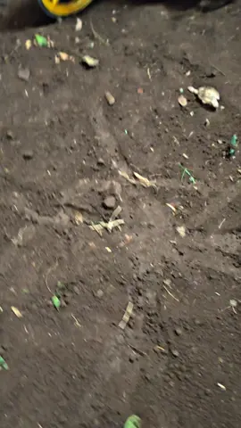 🤭blutuk#fyp #4u #suzukigank #smash #lewatberanda 