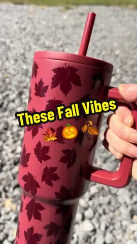 #simplemodern #simplemoderncup #fallvibes #fallishere #wifelife 