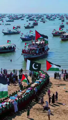 Alhumdulliah #phalestine🇵🇸 #مجھے_ہے_حکم_آزاں #