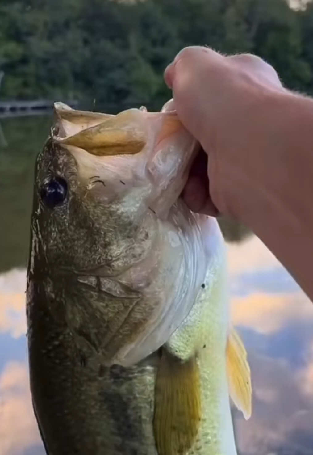 #onthisday #BOOM #baby #LDG #BFJ 🎣 