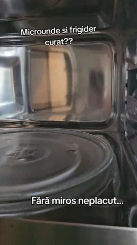 #clean #curat #frigo #frizz #sorgenta 