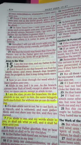 Abide in Jesus, get in his word and his presence and see the fruit that comes from it🤍