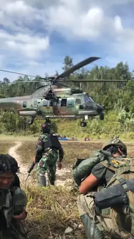 Satgas Papua 🔰🇲🇨 #tni #pyp #tniad #satgaspapua #papua 