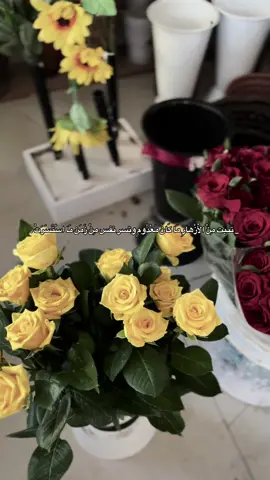 تنبت مِنْ الْأَزْهَارِ مَا كَانَ مَعْدُومٍ وتسر نفس مِنْ زَمَن مَا اسْتَسَرَتْ .  #LanguageLearning #الاردن🇯🇴 #لايك_متابعه_اكسبلور #tiktokshop #اكسبلور #aya #اكسبلورexplore 