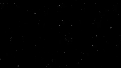 #خلصت#حيدر_العابدي#نزل_ايدك_روح_مااريد_السلام#تصميم_فيديوهات🎶🎤🎬#creatorsearchinsights 