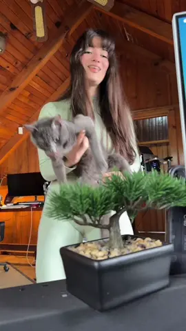 María tratando de grabar  videos con Soruyo  #immariariveiro #usa🇺🇸 #mexico #viral #fyp 