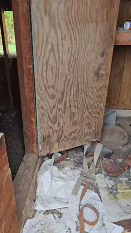 @rubyyanez64 @Gustavo Palomares745 