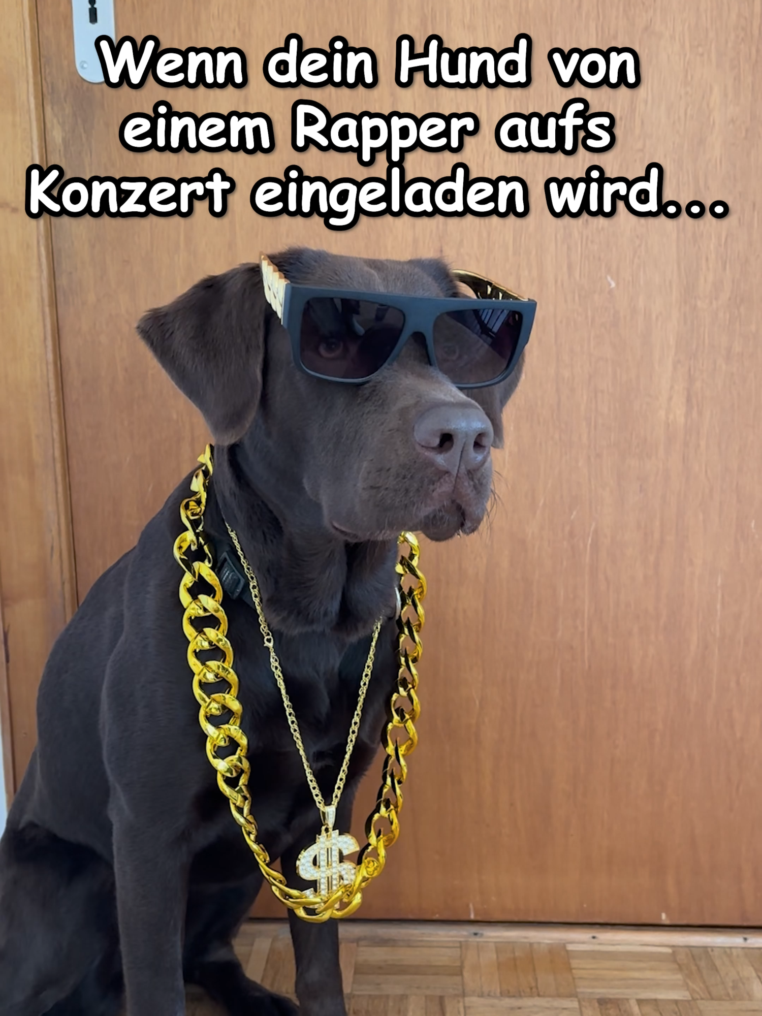 Mein Hund wurde von einem Rapper auf sein Konzert eingeladen! Kennt ihr den Rapper ? Wenn ja, checkt ihn mal ab! Vielen Dank @koolsavas , dass du den Spaß mitgemacht hast!!! Lasst gerne auch Liebe bei ihm da :) Wenn euch das Reel gefällt, lasst doch gerne ein LIKE da, FOLGT uns & TEILT das Reel, danke :) #dogcomedy #dogcomedyvideo #viral #trend #dog #hund #lustig #funny #Chocolab_Easy #Labrador #retriever #germany #tiktok #bundeskanzler #politik #tiktokviral