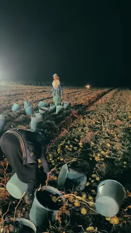 #@musabarutt @Zülküf Ilman @Aydın 82 @✨NURİ BARUT✨ @İsa 