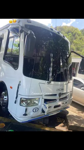 Pura Crema De Coco 🥴🫴🏻🔥.! La verdadera locura. #LIVEIncentiveProgram #LIVEwithlowfollowers #PaidPartnership  #laguaira  #encavasalmomento  @Excursiones Ds🏖️🫂.  @encavasboleta🤯🔥  @Yender tours  @TEAM AC  @Encavas.de.petare! 🚀  @Yander Alejandro  @Yone tours  🚀  @arcangel.m  @Escudería Los Damyr✅ 