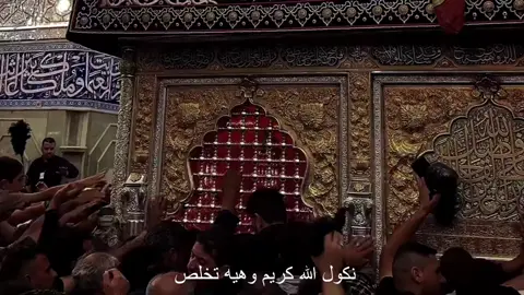 هيه تخلص.. #قصائد_حسينيه #fyp #iraqi #foryou #يافاطمه_الزهراء 