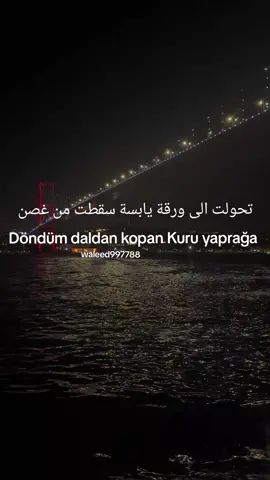 Leylim ley #istanbul #xplore #اكسبلور_متابعه_ولايك #اغاني_تركية_مترجمة #اغاني 