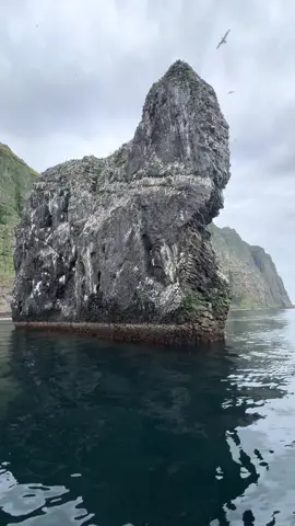 Formation rocheuse 🇮🇸💙 #iceland #islande 