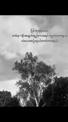 one day🫤😄#ညတင်ရင်viewမတက်🙂 #fouryou #myanmartiktok #ဒီတစ်ပုဒ်တော့fypပေါ်ရောက်ချင်တယ် #ငါ့viewတွေဘယ်ရောက်သွားတာလဲ 