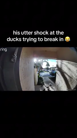 😂😂😂😂 #ringcamera #ringdoorbell #ring 