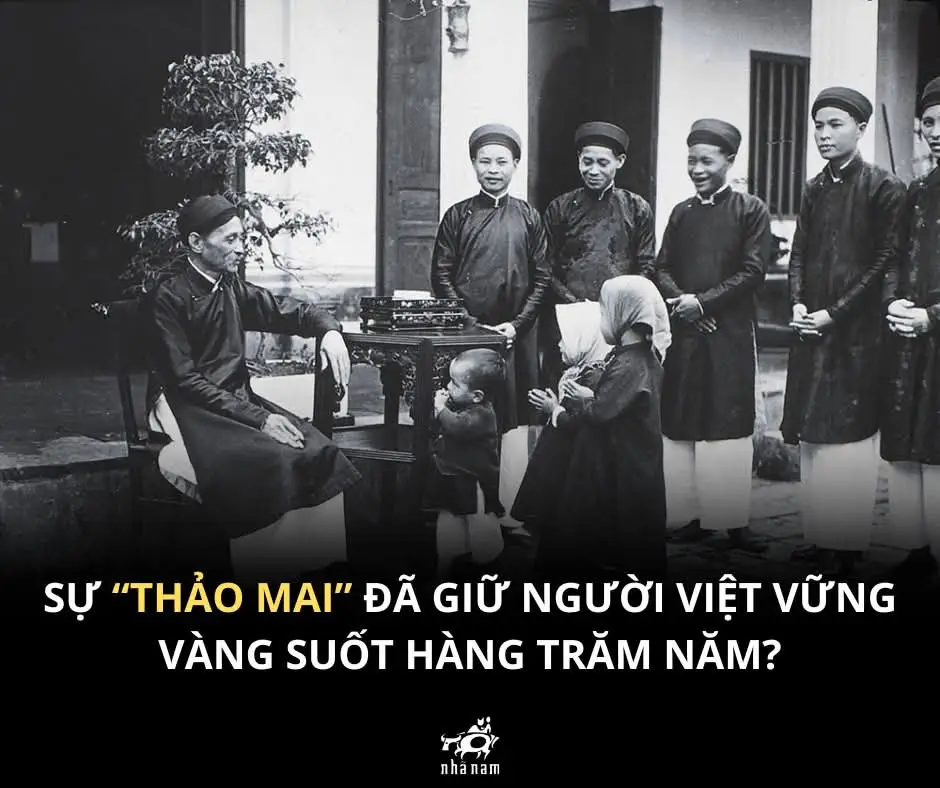 Sự ‘thảo mai’ đã giữ người Việt vững vàng suốt hàng trăm năm? Trong cuốn “Văn minh Việt Nam”, Nguyễn Văn Huyên đã chỉ ra một nét tính cách thú vị của người Việt: sự khôn khéo trong ứng xử thường ngày, đôi khi bị gọi vui là “thảo mai”.  Nhưng cái khôn khéo ấy không chỉ là phép xã giao. Chính những phong tục, tín ngưỡng và lối sống thường ngày mới là “chất keo” gắn kết con người Việt Nam với nhau, giúp người Việt thuyên giảm mâu thuẫn. Chính những lời chào, câu xã giao, nụ cười “cho phải phép” ấy mà mối quan hệ làng xóm, họ hàng được giữ yên ấm; cộng đồng có thể cùng nhau vượt qua giặc giã, đói kém, thiên tai. Ngày nay, khi thế giới xoay vần với tốc độ chóng mặt, chúng ta càng dễ bị cuốn đi. Nhưng thử nghĩ mà xem: nếu đánh mất những giá trị ấy, chúng ta còn lại điều gì để bấu víu khi sóng gió ập đến? … Bạn thì sao, bạn thấy “thảo mai” tốt hay xấu? #vietnam #vanhoa #
