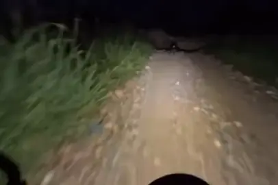 Cats be saving lives out here 😅 #catsoftiktok #night #driving #accident #lifesaver 