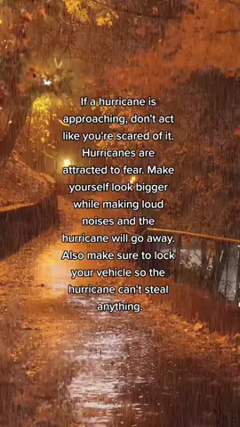 #hurricane #storm #advice #advicetiktok #nature 