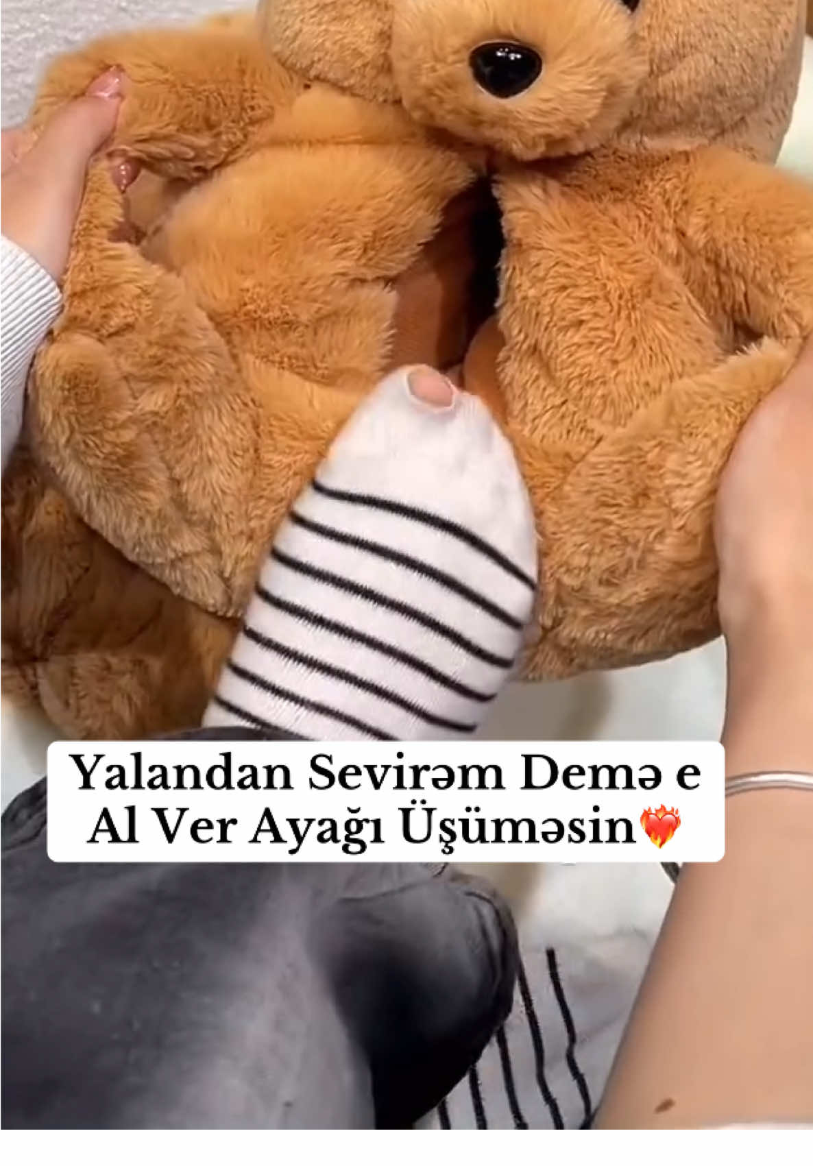 Ayı papışlar gəldiiii❤️‍🔥❤️‍🔥