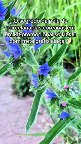 #peledeporcelana #pelesaudavel #pelemadura #antirugas #kokeshi 