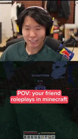 when your friend won't stop roleplaying in Minecraft #blau #disguisedtoast #streamer #roleplay #Minecraft 