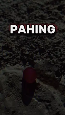 karakter pahing... #cakrajantunglangit  #rajaweton #sipahitlidah #sabdodadi 