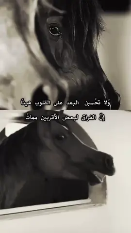 ولا تحْسبن البعد على القلوب هيناً إنّ الفراق لبعض الأقربين مماتُ #عاشق_الخيل 