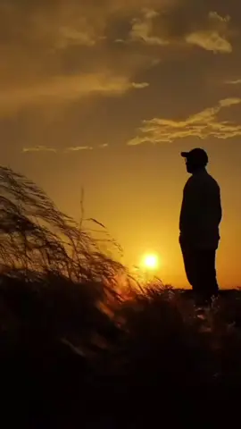 #LIVEIncentiveProgram #LIVEwithlowfollowers #PaidPartnership 