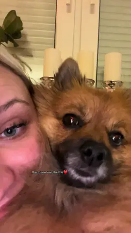 never ending love❤️❤️ #fy #illloveyouforever #doglove #pom #bebi 