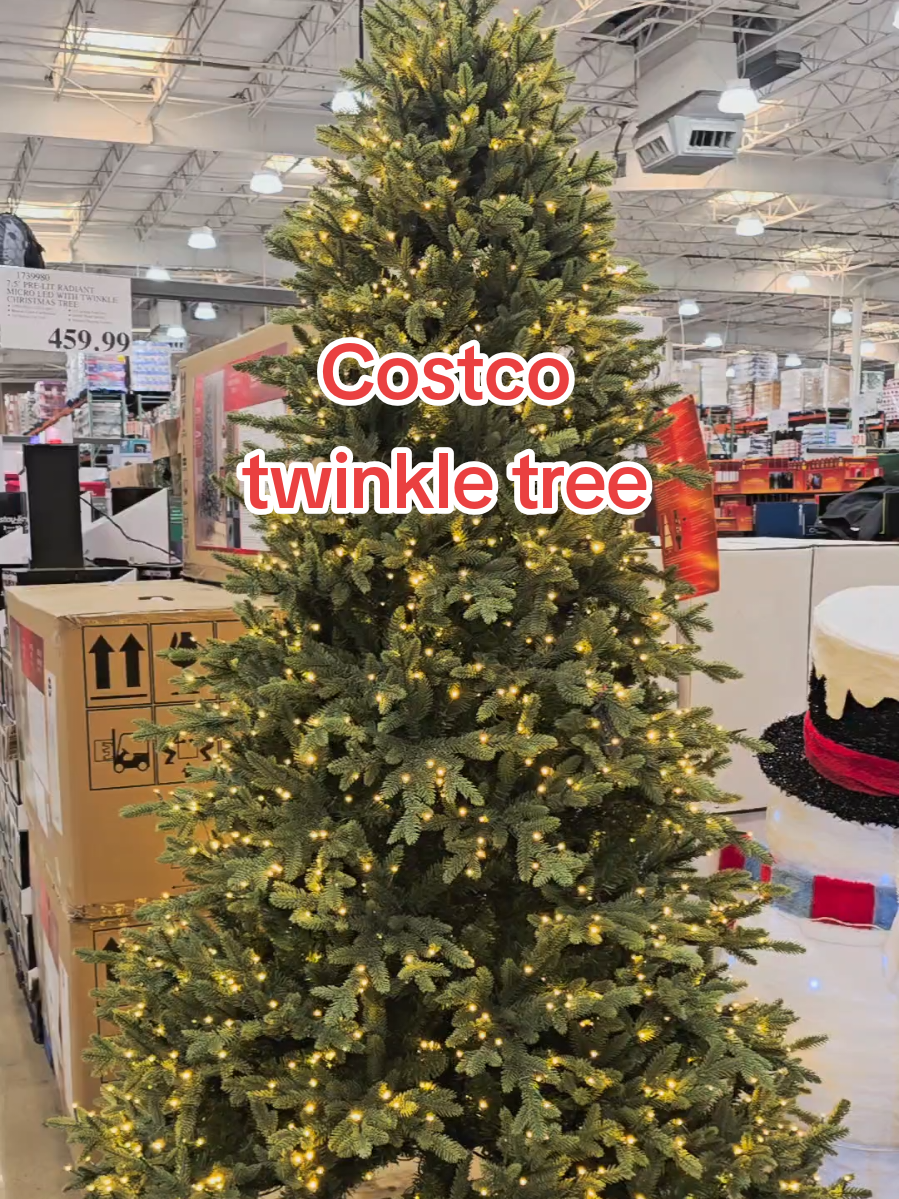 The Costco twinkle christmas tree is absolutely beautiful 🎄. @Costco Wholesale #costcochristmastree #twinklinqchristmastree #christmas2025 #cozvchristmastree #christmascountdown  . . Twinkle christmas tree 2025 Twinkle lights Twinkle lights christmas tree christmas decorations  Costco Christmas finds 