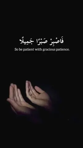 #قران_كريم #fyp #islamic_video #salahbukhatir #راحه_نفسيه 