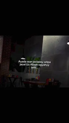 wlpiba jacel uu alle ogyahyy #tiktoknews #freefire_lover #freefire #goviral #fyppppppppppppppppppppppp 