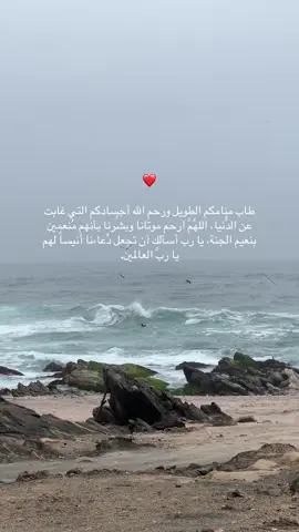 آمين يارب العالمين  #صدقه_جارية #اللهم_ارحم_فقيدتي #اللهم_ارحم_موتانا_وموتى_جميع_المسلمين 