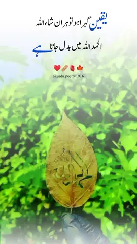 یقین گہرا ہو تو ہر ان شاء اللہ الحمد اللہ میں بدل جاتا ہے#fyp #deeplinespoetry🥀 #cupcut #viralvideo 