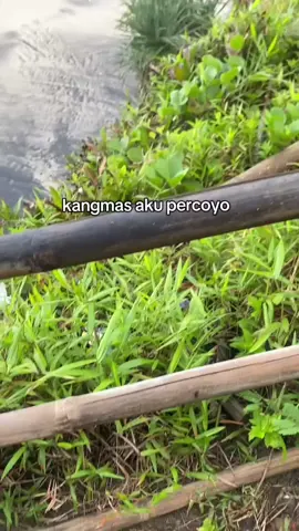 view cantik pantai lumbung ga ada obat🥰 #dadisiji #tulungagung24jam #xybca #lagujawa #foryoupage 