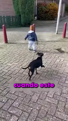 #rexo #datoraro #rexoarmy 