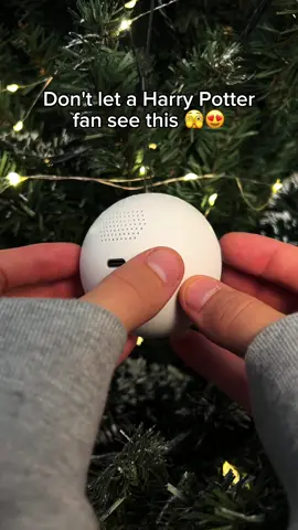 Best Christmas gift 🧙 #harrypotter #harrypottertok 