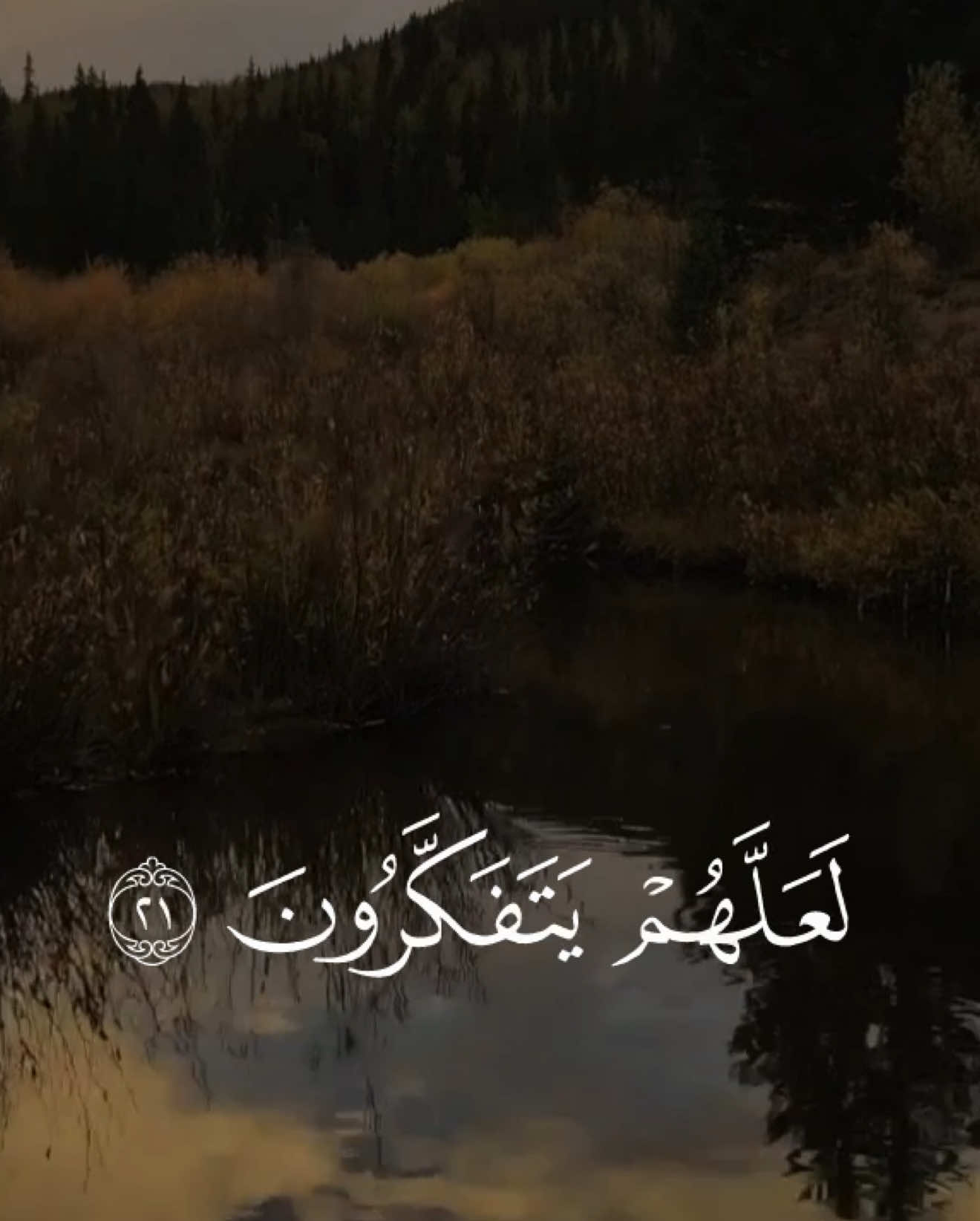 #قران #علي_جابر #تلاوات #quran 