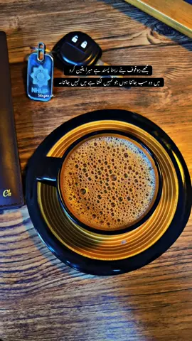 مجھے بیوقوف بنے رہنا پسند ہے میرا یقین کرو میں وہ سب جانتا ہوں جو تمہیں لگتا ہے میں نہیں جانتا#chailover #night #viral #trending #lahore 