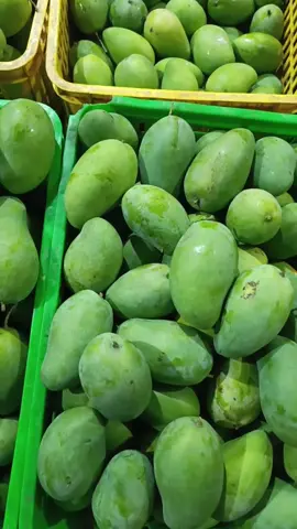 Alhamdulillah disyukurin saja... #manggahr #manggaharummanis #manggaharummanistulungagung #fyp 