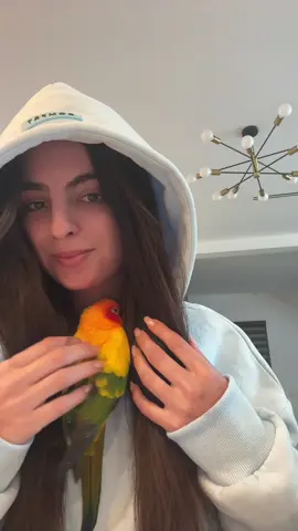 This hoodie is so comfy 