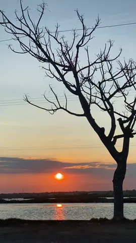 #pamekasanmadurafyp #madurapamekasanpunya #capakgalispamekasan #indahnyasunsetdisorehari💥💫😊 #masyaallahtabarakkallah 